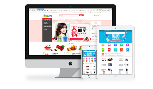 電子商務概述之商城系統(tǒng)有哪些類型？